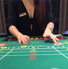 judigang88